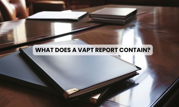 Contents of the VAPT Report